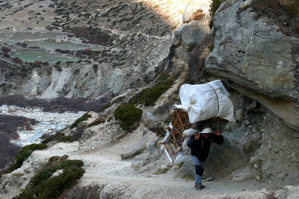 Sherpa