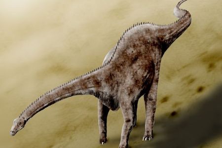 Many artists work hard to bring dinosaurs to life with accurate details, but often products can be out dated or be careless with details like how Diplodocus held their necks. (© N. Tamura CC BY-NC-ND 3.0)