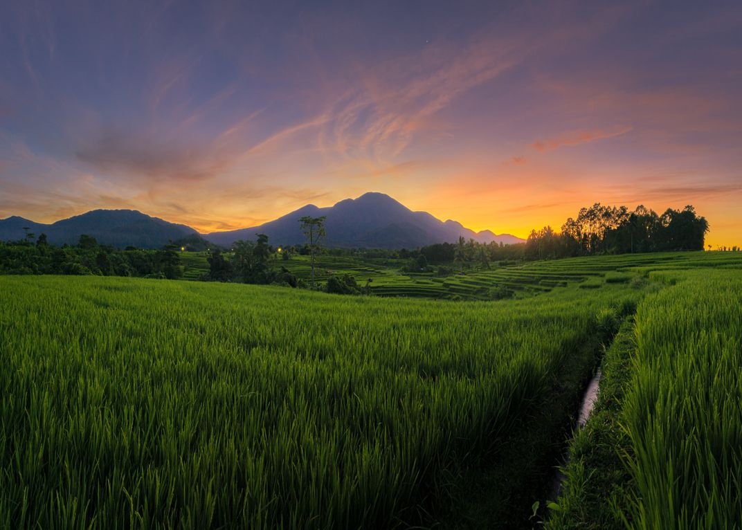 The view of the circle of rice terraces | Smithsonian Photo Contest ...
