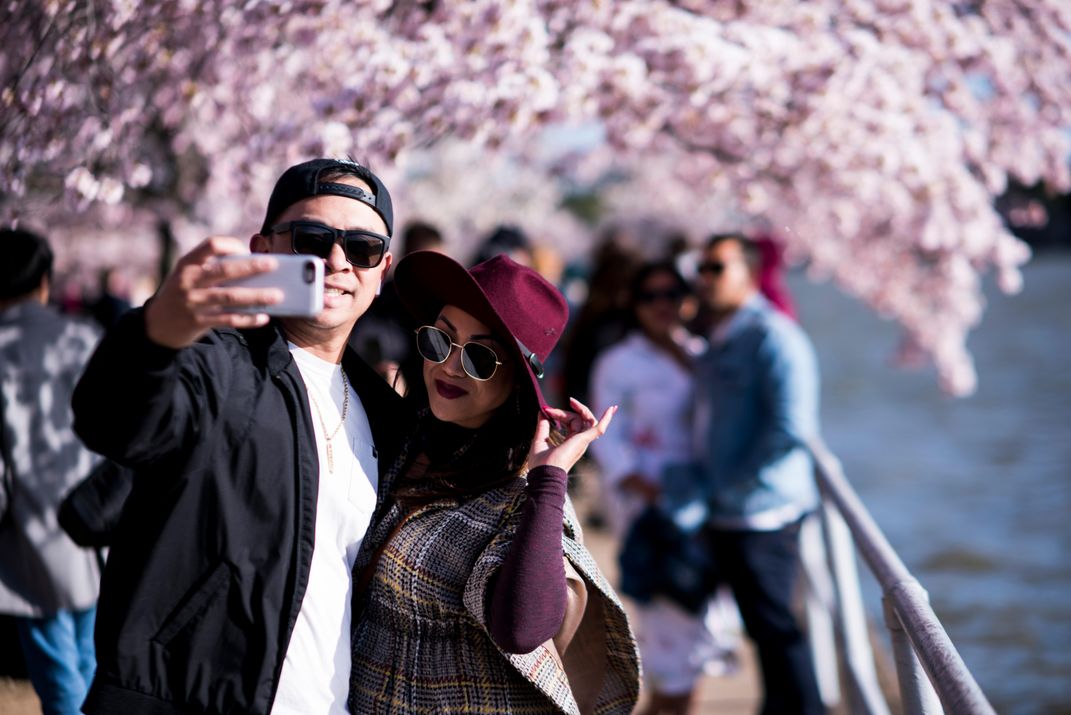 peak bloom selfie 3