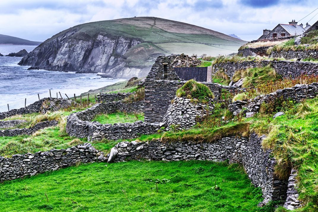 Stone fences along the Dingle Peninsula