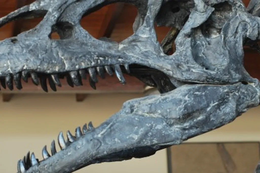 dinosaurs