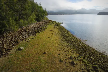 On Calvert Island, British Columbia, the subtle rock line of an extant clam garden is a reminder of how Indigenous peoples turned the sea into a shellfish garden.