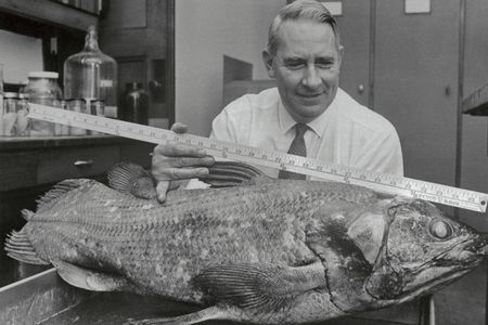 Loren P. Woods, curator of fish at the Field Museum of Natural History in Chicago in 1968. But could he handle a horse?
