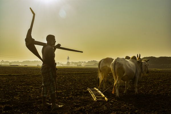 Traditional thumbnail