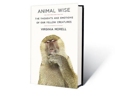 Animal Wise: The Thoughts and Emotions of Our Fellow Creatures 