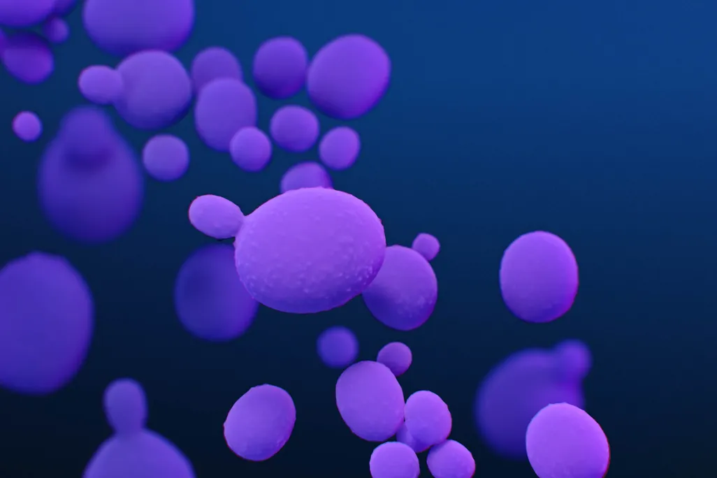 Big purple blobs floating against dark background