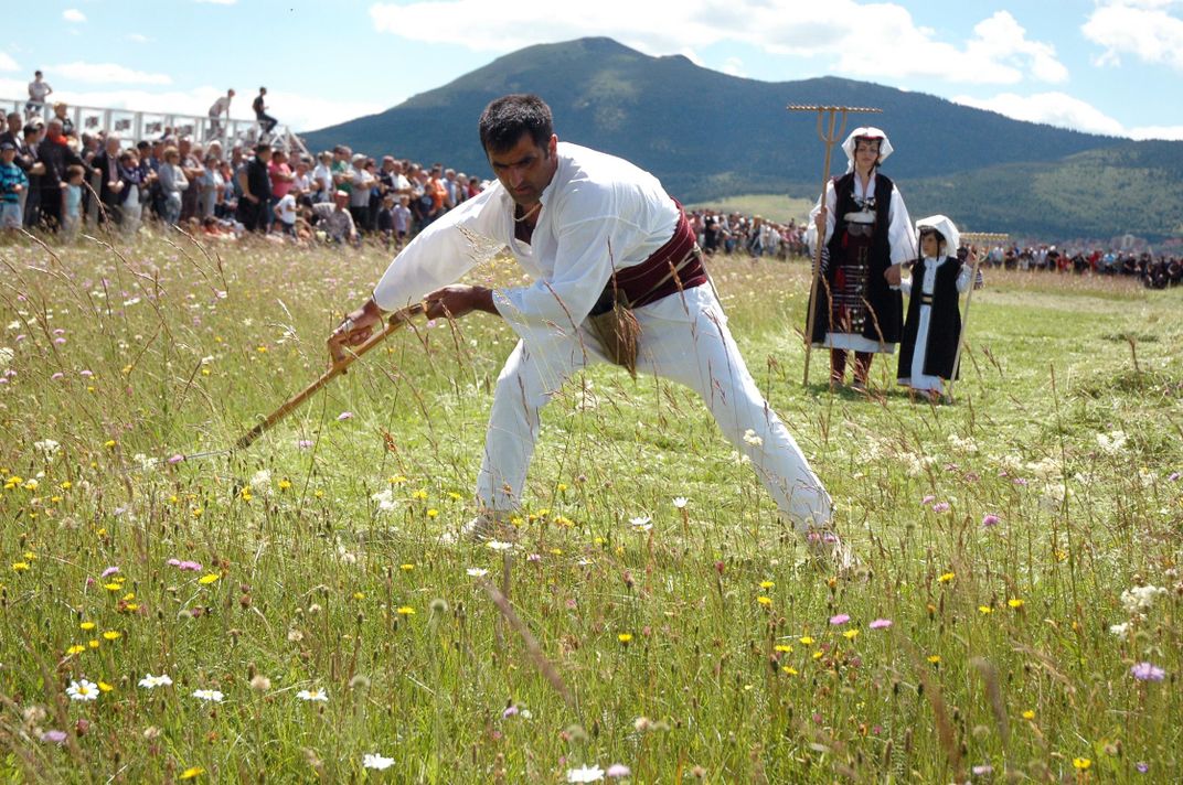 grass mowing competition