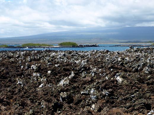 Lava rock on Isabela Island