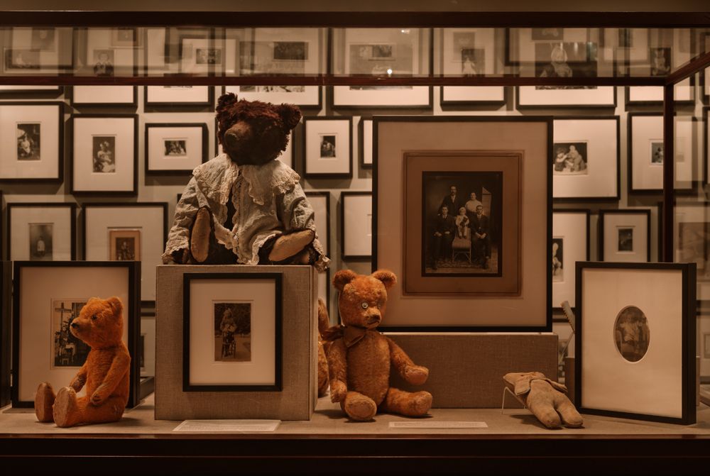 TeddyBear Portraits office