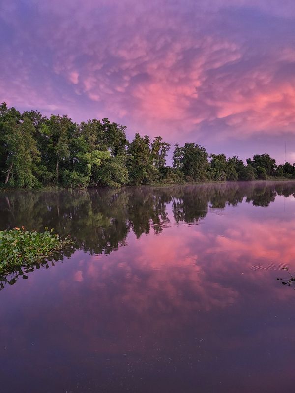 Louisiana blue bayou sunset thumbnail