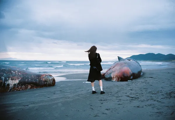 Whale fall thumbnail