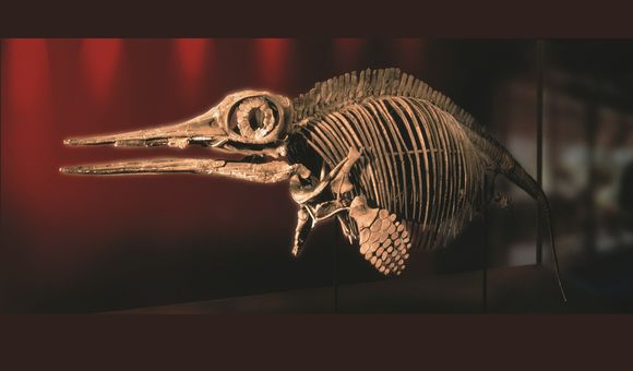 Smithsonian Voices Cover - Ancient Sea Reptiles.jpg