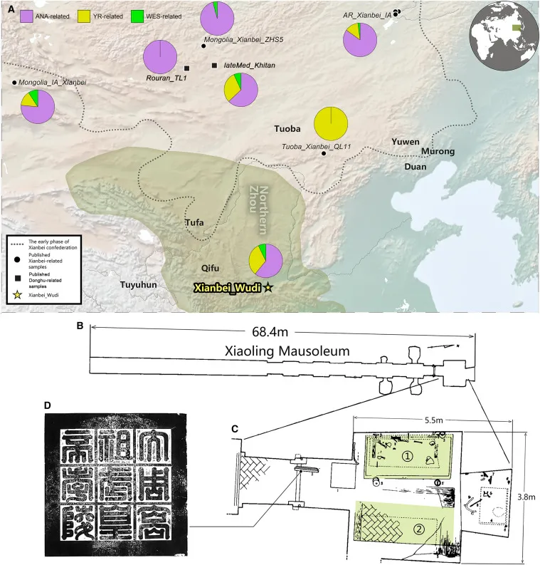 The genetic and geographic history of various clans in northern China and present-day Mongolia (top); a diagram depicts Emperor Wu's tomb, discovered in 1996.