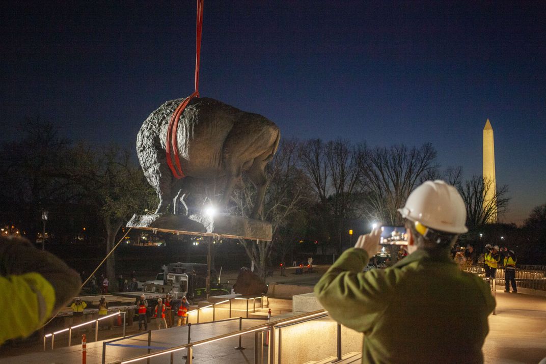 See the 2,500-Pound Bronze Bison as They Arrive at Their New, Permanent Place at the Smithsonian’s National Museum of Natural History