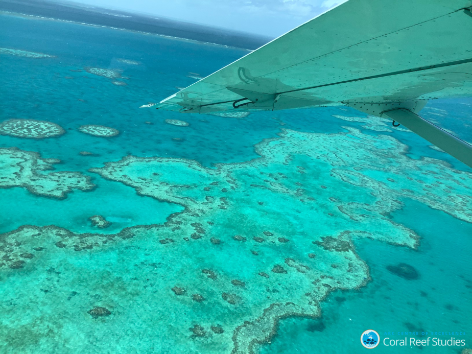 Great barrier reef