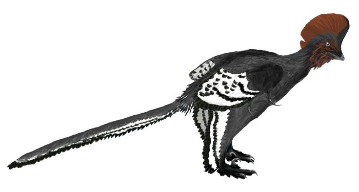 2013032811403203_28_2013_dinosaur-color.jpg