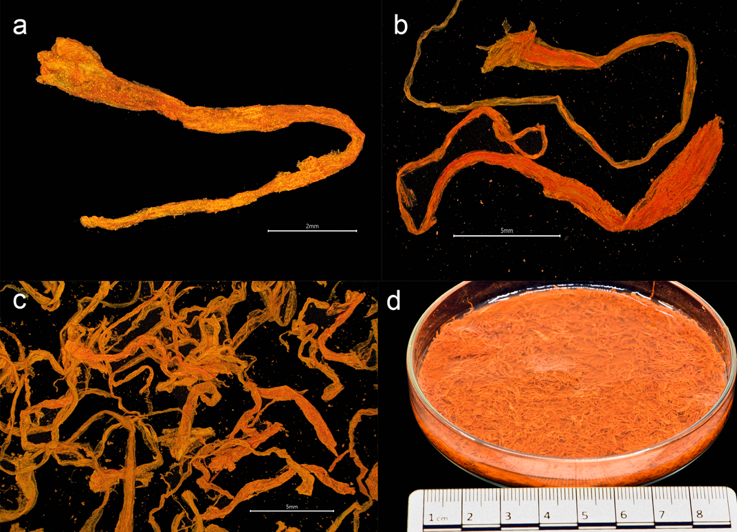 Graphic showing bits of saffron