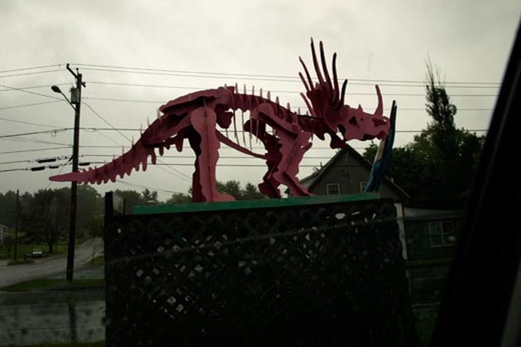 20110520083229pinkdino.jpg