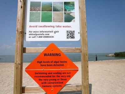 A beach closed during Lake Erie’s 2014 toxic algal bloom
