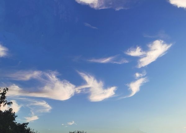 Cirrus Fibratus - Az ég szárnyai thumbnail