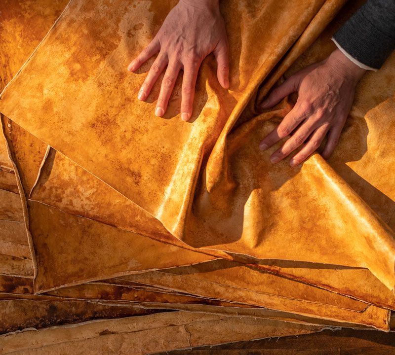This Mushroom-Based Leather Could Be the Next Sustainable Fashion