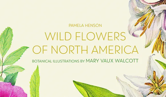Wild Flowers of North America Cover-Header.jpg
