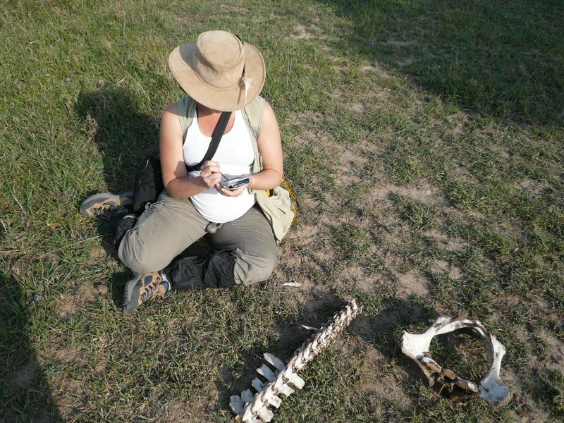 The Many Ways Women Get Left Out of Paleontology