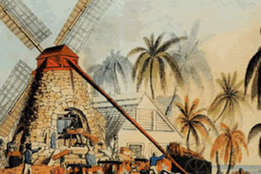 A yard on an Antiguan sugar plantation