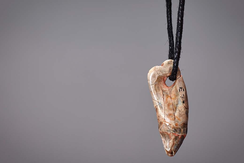A shiny tooth hanging from a bit of cord