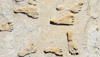 Oldest Fossilized Human Footprints in North America Are 23,000 Years Old, Study Reaffirms