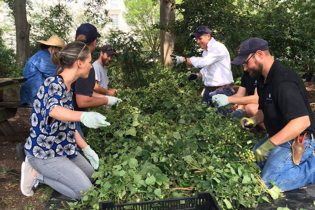 people around a table of hops