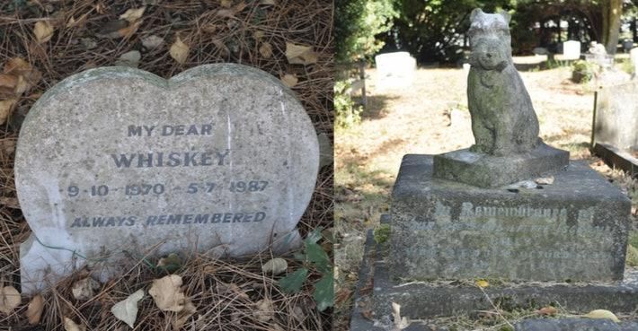 A split photo: On the left is a heart-shaped tombstone engraved with "MY DEAR WHISKEY. 9-10-1970 - 5-7-1987. ALWAYS REMEMBERED." On the right, a stone statue of a terrier sits upon a tombstone with an illegible engraving.