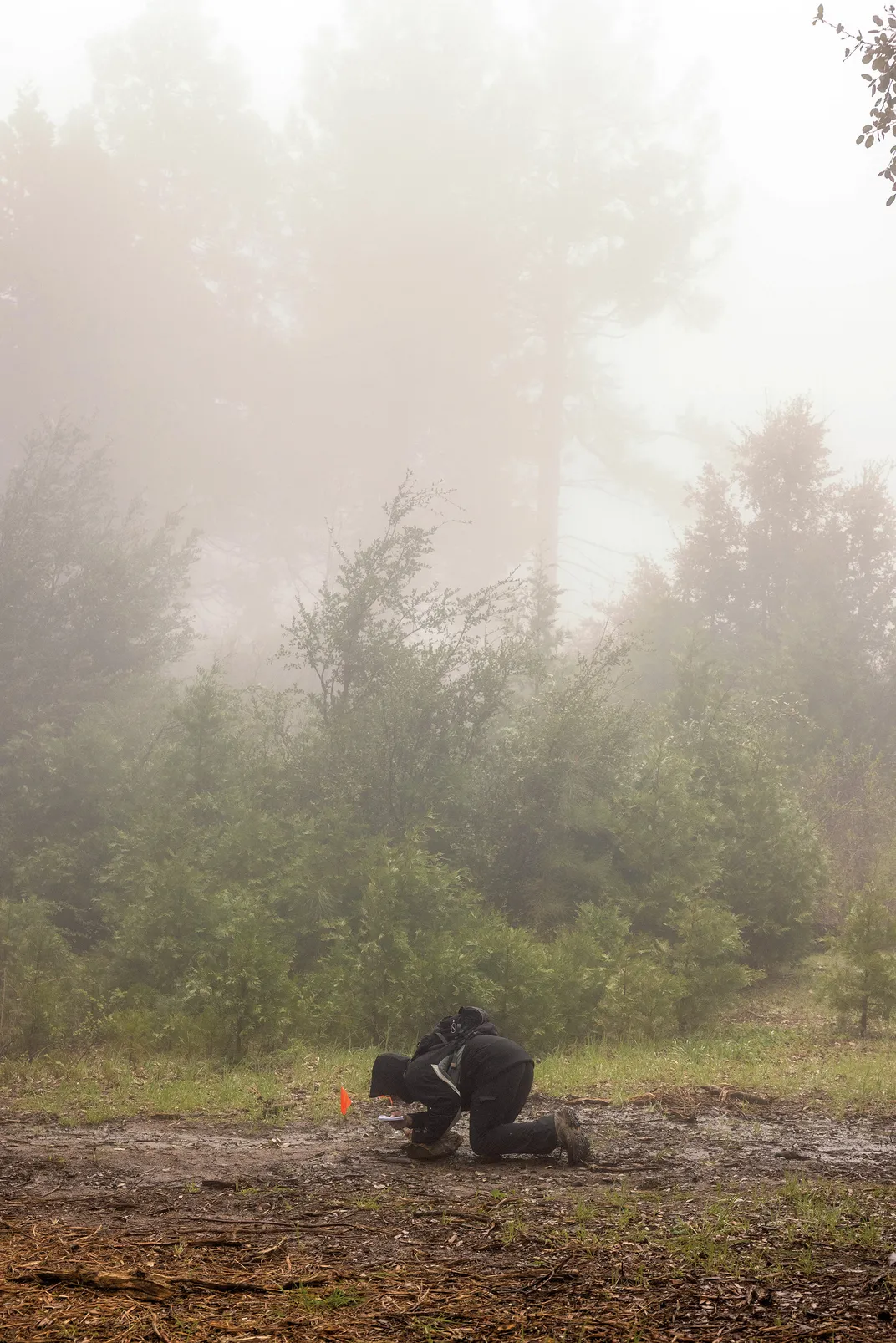 a person on the ground looking for animal tracks