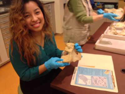 Student Olivia Persons of George Washington University jumped at the chance to help the National Museum of Natural History develop a new education facility.