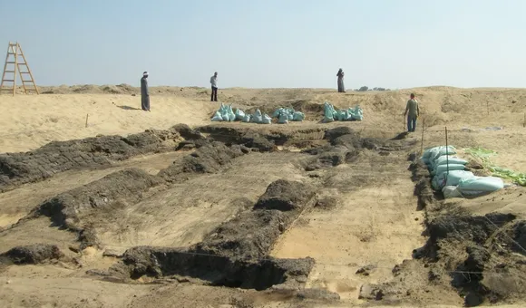 Researchers study burial sites like the Falcon Necropolis at Quesna to learn more about ancient Egyptian culture and biodiversity. The site is protected by the Egyptian Ministry of Tourism and Antiquities. (Joanne Rowland)
