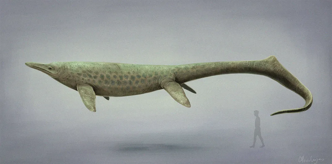 Cymbospondylus Youngorum