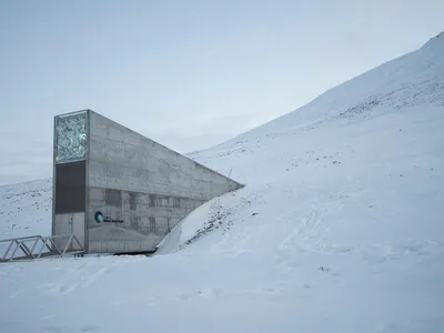 The Svalbard Global Seed Vault keeps backups of the world's seeds safe in case of catastrophe.