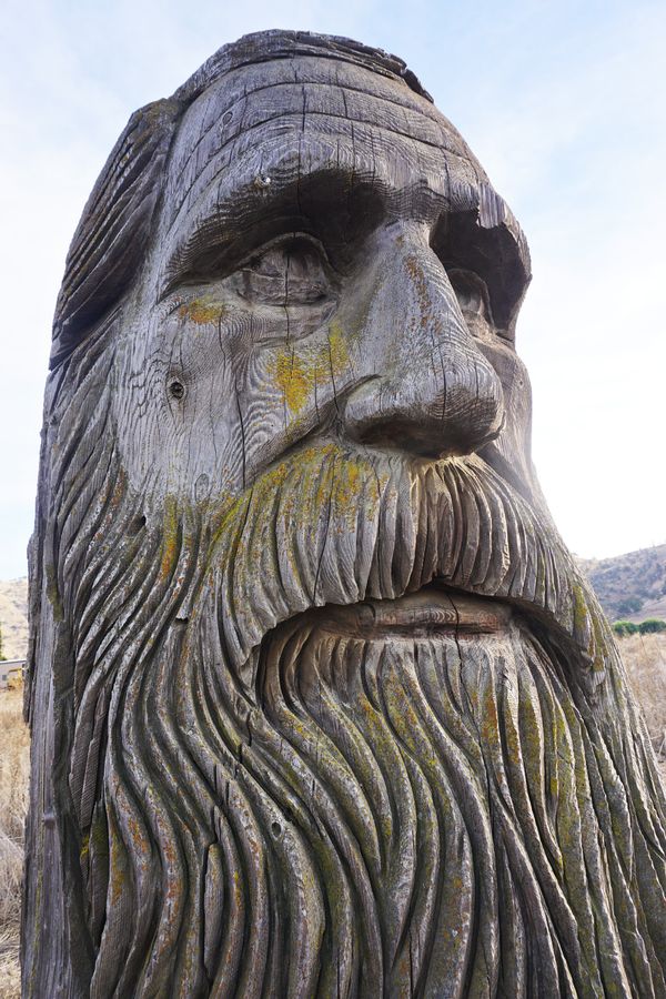 Wood carving of John Muir thumbnail
