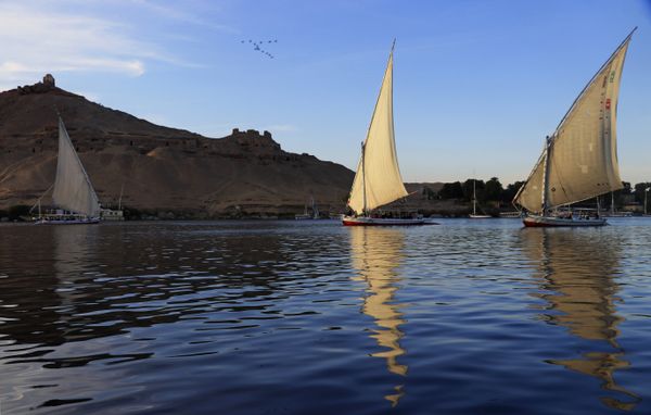 Felluccas on the Nile at Sunset thumbnail