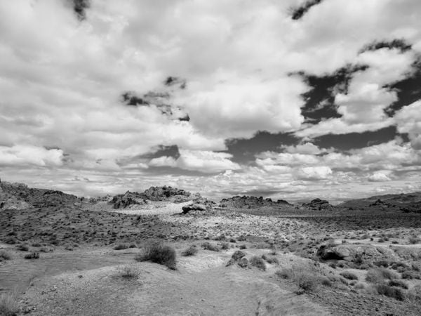Desert Landscape thumbnail