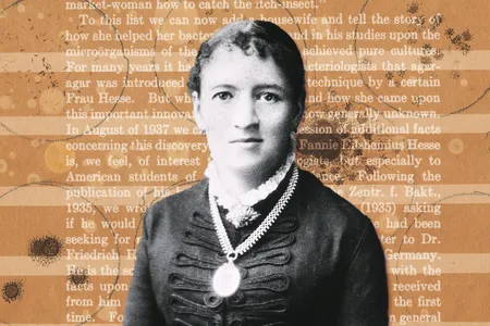 In 1881, Fanny Angelina Hesse suggested agar, a jelly-like substance she used in cooking, as a replacement for gelatin, which scientists used to study microorganisms.