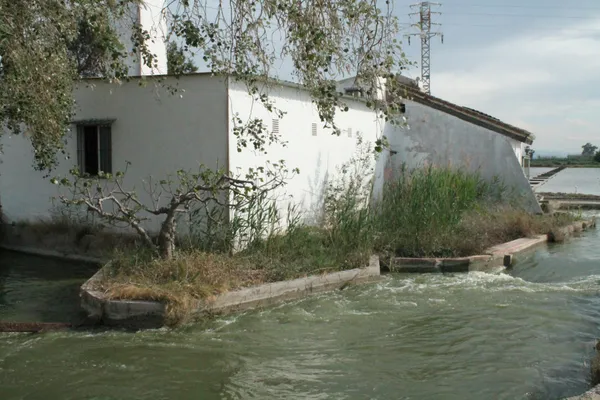 Water Junction, La Albufera thumbnail