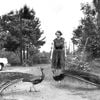 Flannery O'Connor Wanted to Shake Her Readers Awake. Her Family Wanted Her to Write the Next 'Gone With the Wind' icon