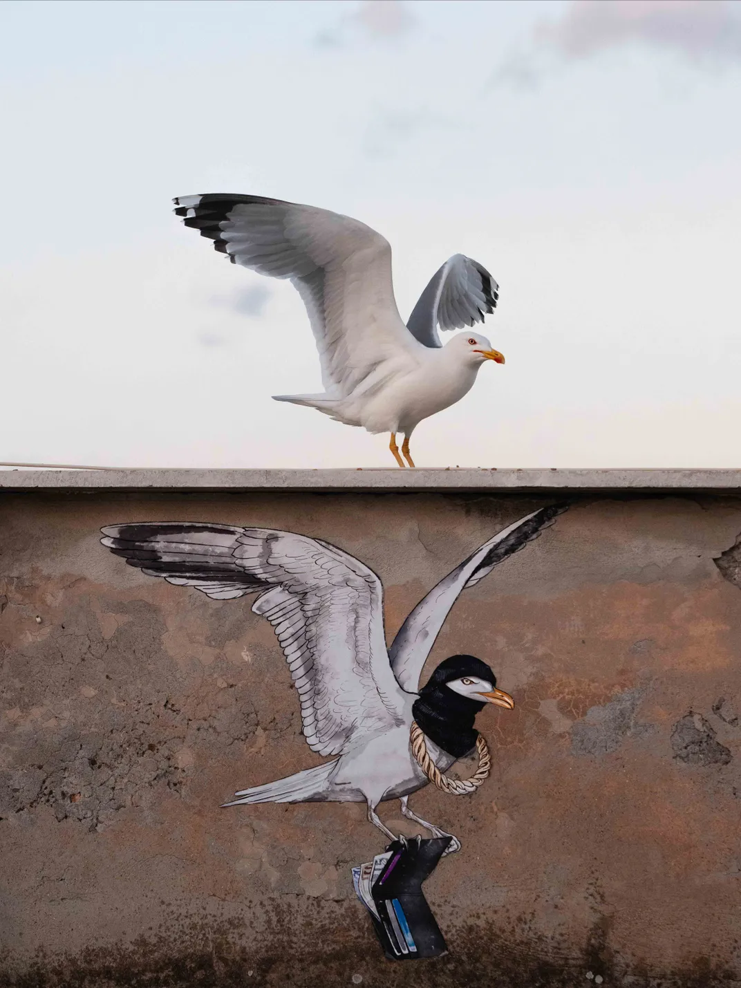 a gull stands on a wall, wings raised, and on the wall below it is an artwork of a gull in the same position, wearing a balaclava and gold chain and carrying a wallet