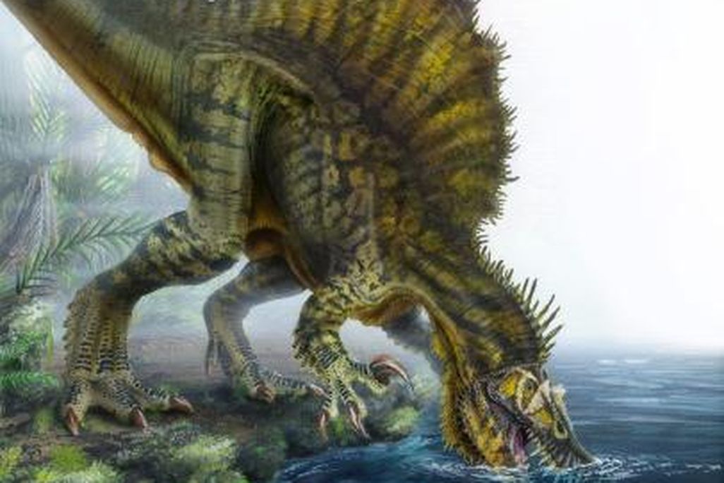 20110520083253marshall-spinosaurus.jpg