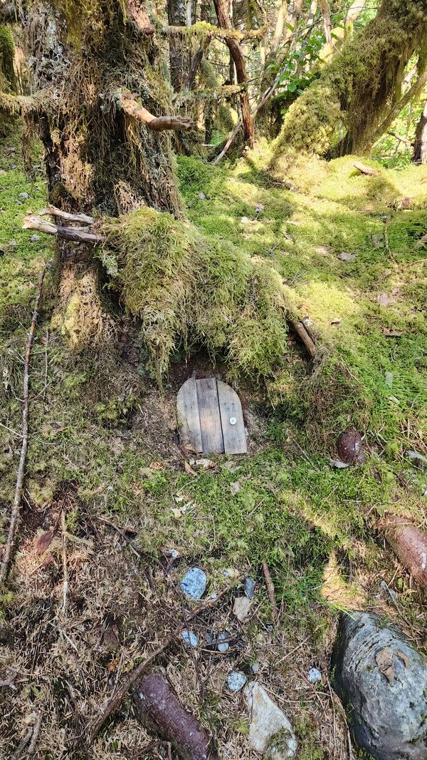 A gnome door in a tree thumbnail