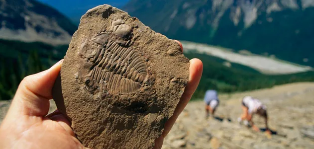 Burgess Shale Canada