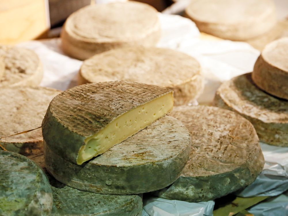 Wheels of Saint-Nectaire cheese