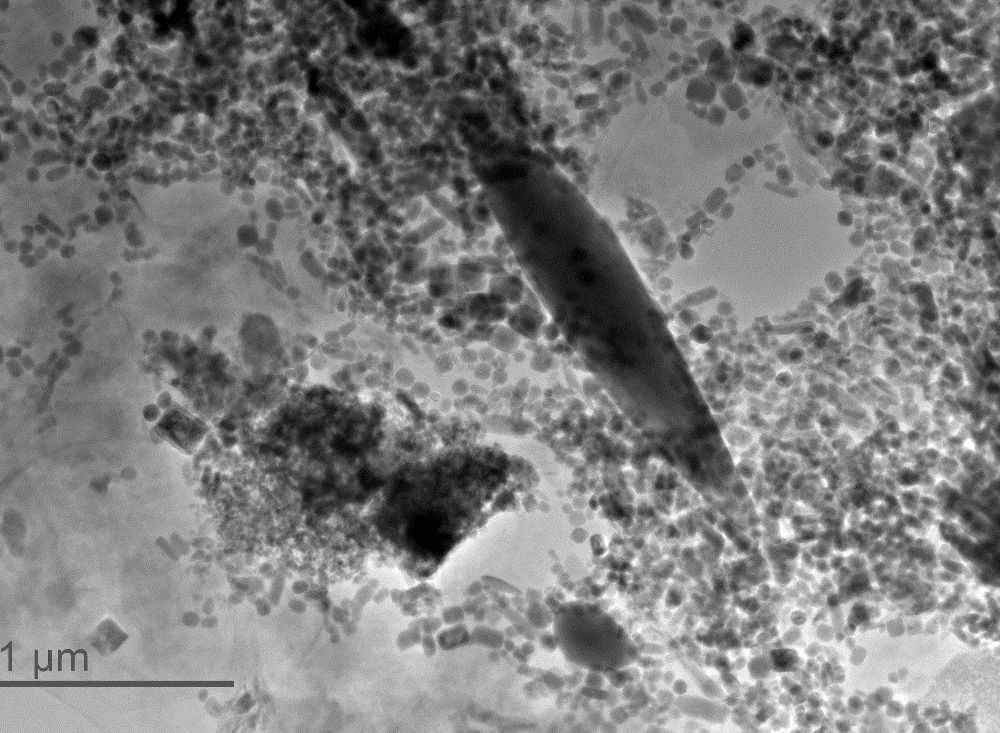 This is a giant spindle magnetofossil, created by a mysterious creature over 50 million years ago. So far, the iron fossils have only been found during two periods of intense global warming. (Kenneth Livi, Courtney Wagner, and Ioan Lascu)